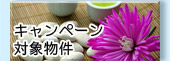 ڡоʪ